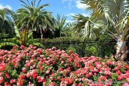 Gardens to visit Jardín de l'Albarda