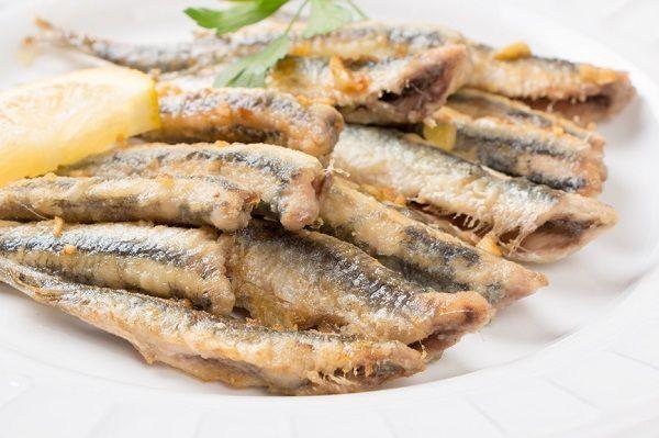 Popular fish to eat in Spain