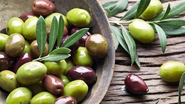 All about Spanish Olive Oil - BenidormSeriously