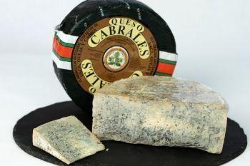 Types of Spanish Cheese, Cabrales