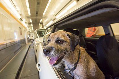 Crossing the channel, Channel Tunnel, travel with you pets