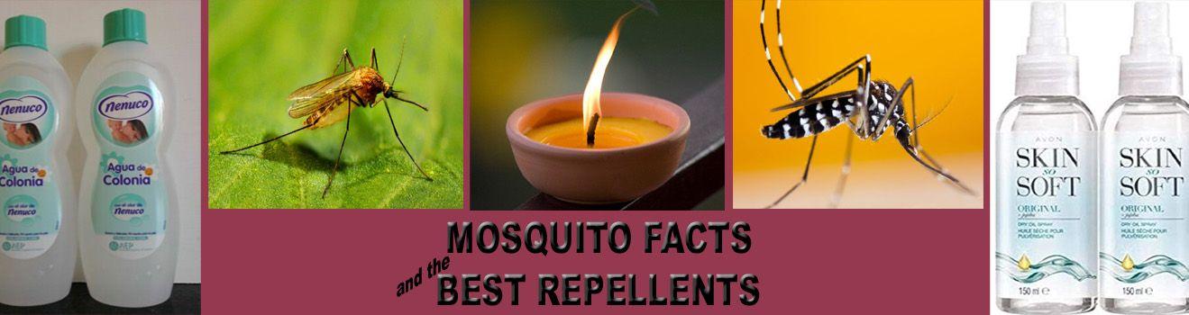 Mosquito facts and repellents