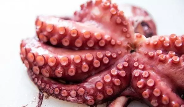 How to cook an Octopus