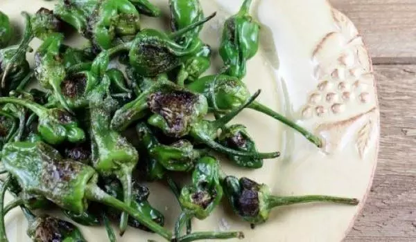 Spanish Tapas Padron Peppers
