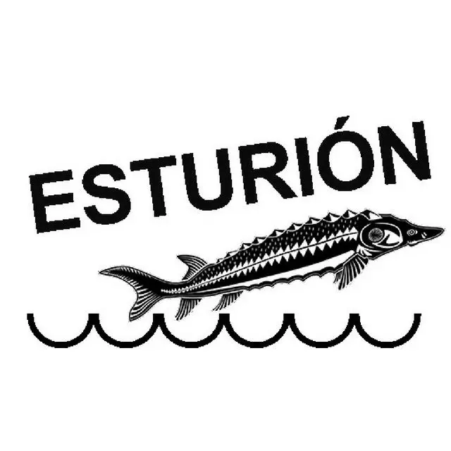 Esturión