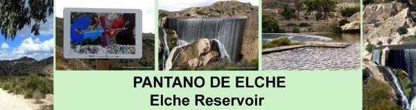 All about Elche