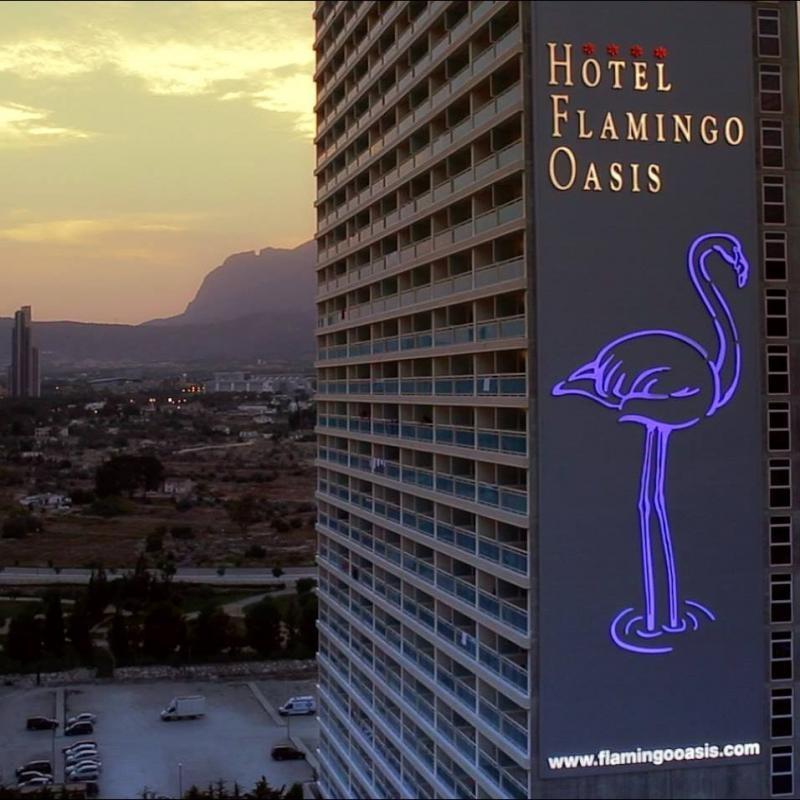 Flamingo Oasis Hotel