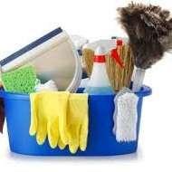 Blue Star Cleaning Services