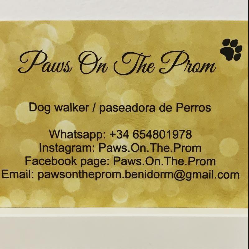 Paws on the Prom